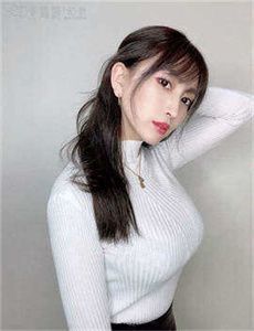 追击者电视剧